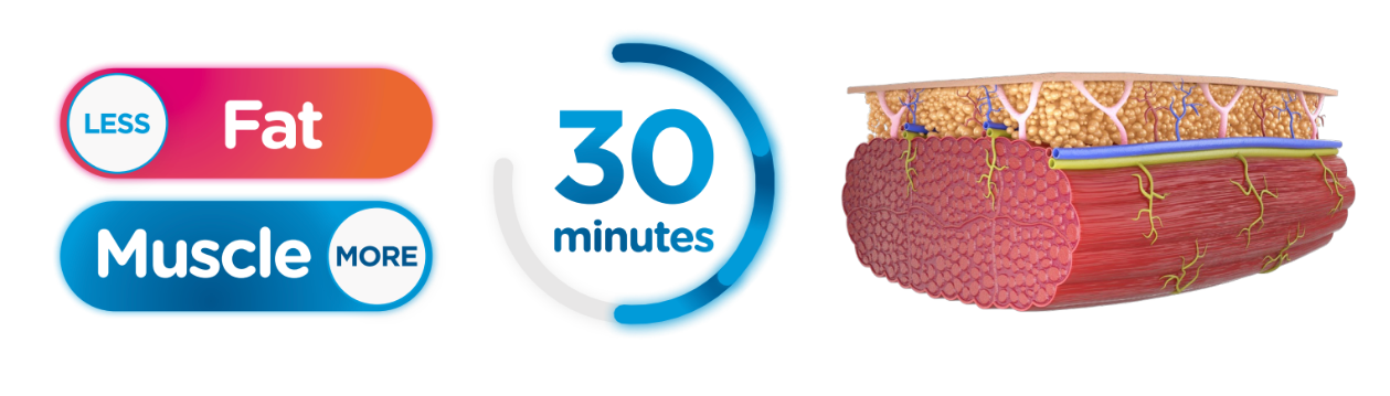 emsculpt_fat_v_muscle